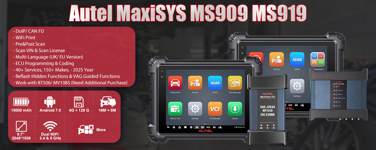 MS919